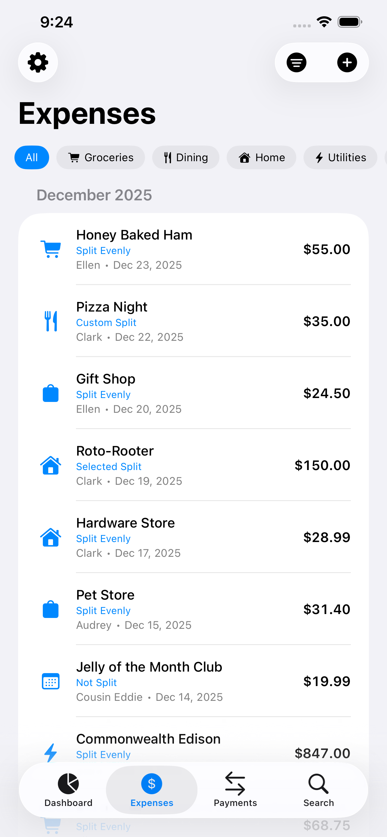 Expense list with category filters